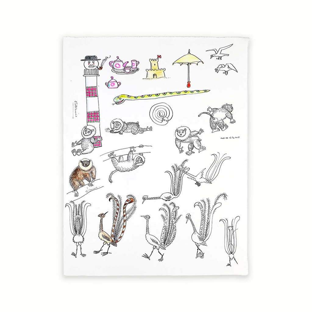 [PLRN0241] Animals